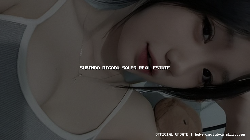 subindo digoda sales real estate